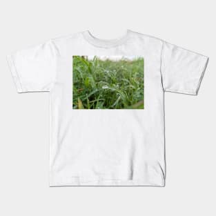 Morning Dew Kids T-Shirt